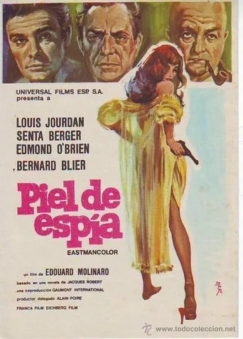 Póster de Piel de espía