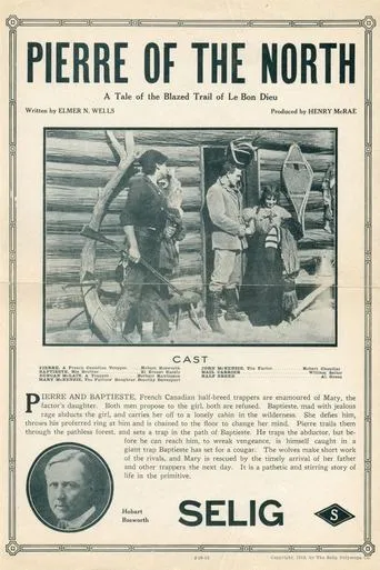 Póster de Pierre of the North