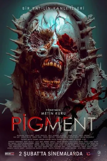 Póster de Pigment