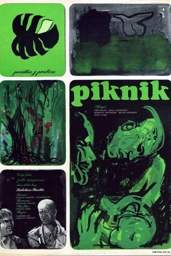 Póster de Piknik