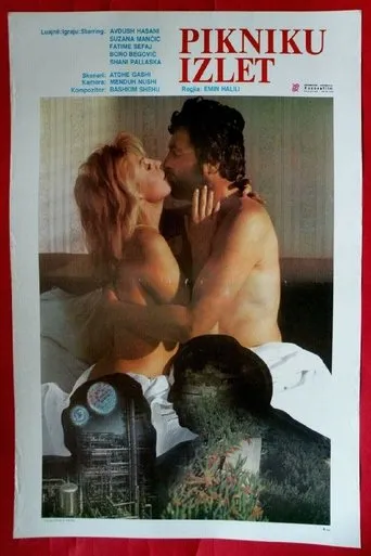Póster de Pikniku