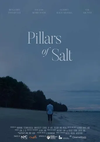 Póster de Pillars of Salt