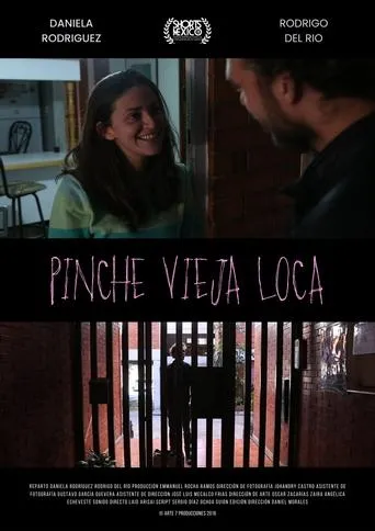 Póster de Pinche Vieja Loca