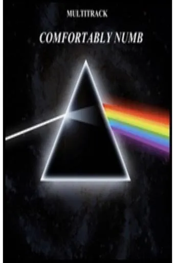 Póster de Pink Floyd - Comfortably Numb