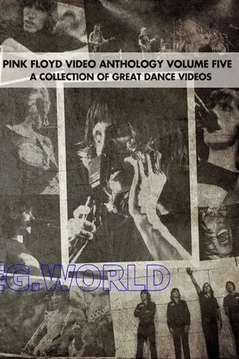 Póster de Pink Floyd: Video Anthology Vol. 5