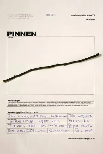 Póster de Pinnen