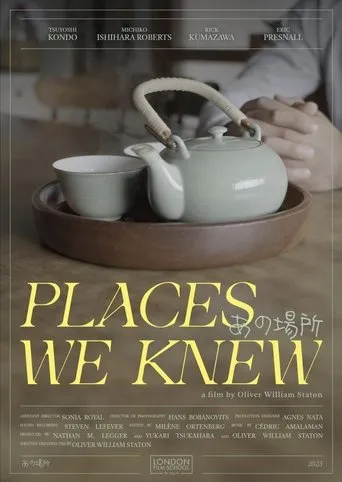 Póster de Places We Knew