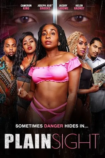 Póster de Plain Sight
