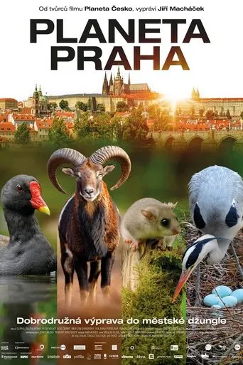 Póster de Planeta Praha
