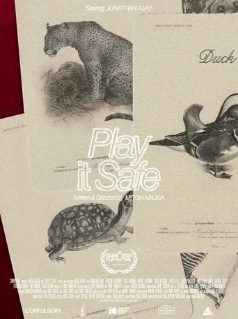 Póster de Play It Safe