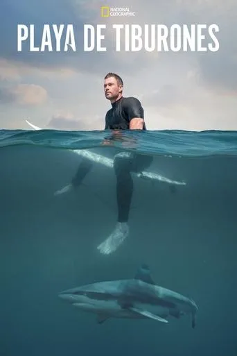 Póster de Playa de tiburones