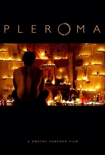 Póster de Pleroma