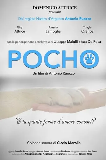 Póster de Pocho