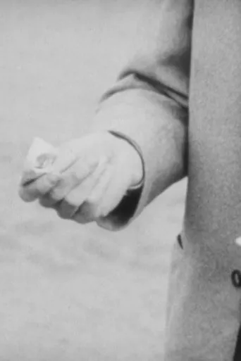 Póster de Pockpicket eli katkelmia helsinkiläisen porvarisnuoren elämästä