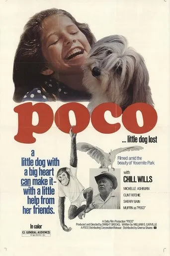 Póster de Poco… Little Dog Lost