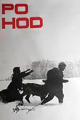 Póster de Pohod