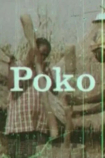 Póster de Poko