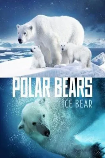 Póster de Polar Bears: Ice Bear
