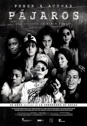 Póster de Poner a actuar pájaros