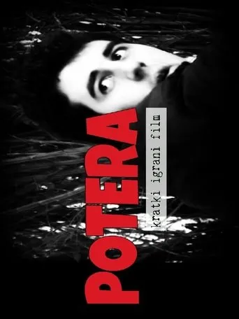 Póster de Potera