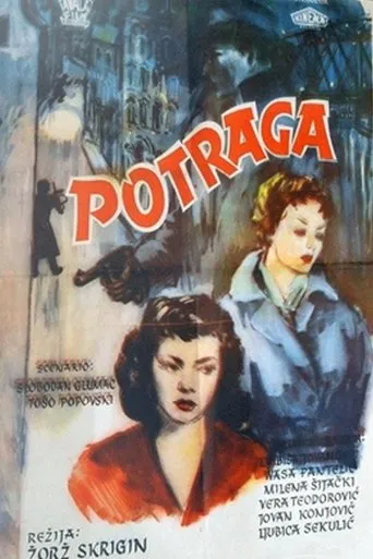 Póster de Potraga