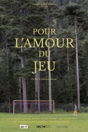 Póster de Pour l'amour du jeu