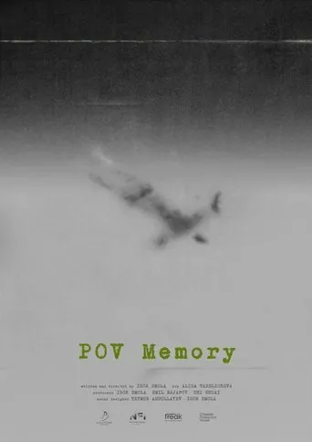 Póster de POV Memory