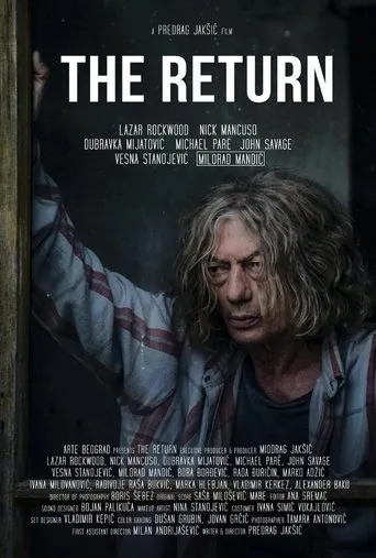 Póster de Povratak