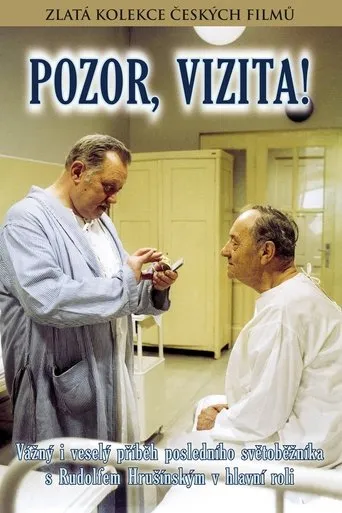 Póster de Pozor, vizita!