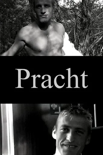 Póster de Pracht