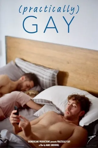 Póster de (Practically) Gay