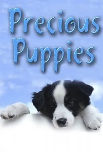 Póster de Precious Pupp