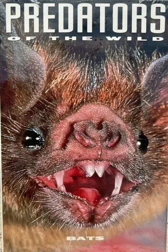Póster de Predators of the Wild: Bats