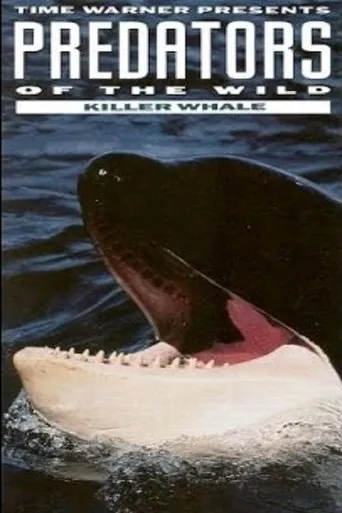 Póster de Predators of the Wild: Killer Whale