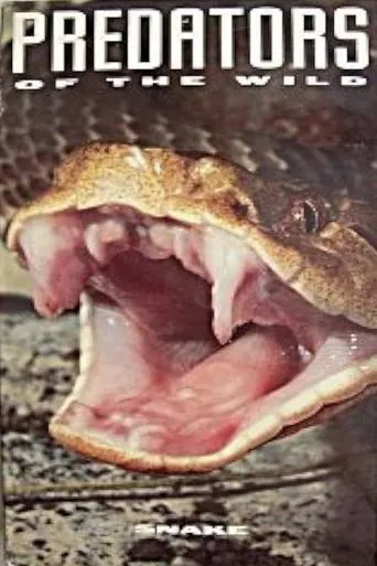Póster de Predators of the Wild: Snake