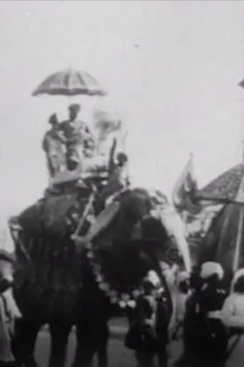Póster de Procession of Elephants with Howdahs - India