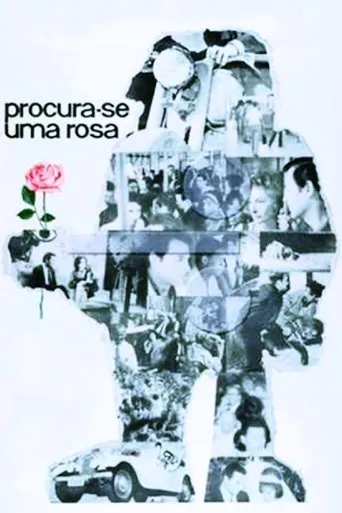 Póster de Procura-se Uma Rosa