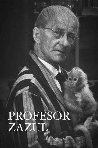 Póster de Profesor Zazul