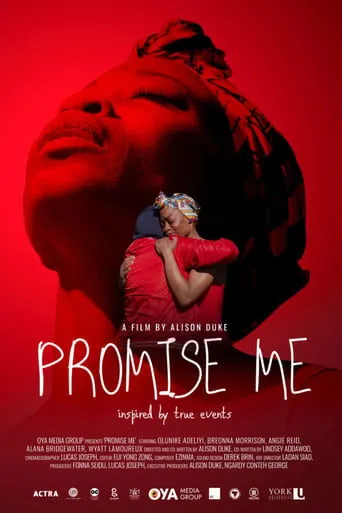 Póster de Promise Me