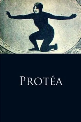 Póster de Protéa