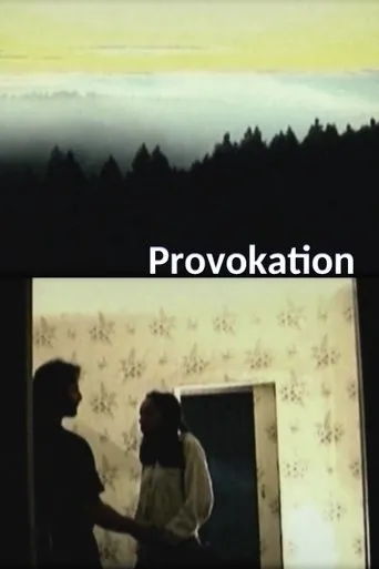 Póster de Provokation