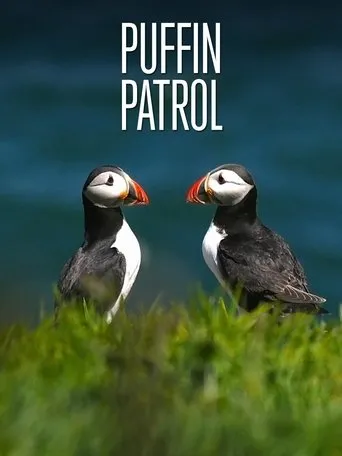 Póster de Puffin Patrol