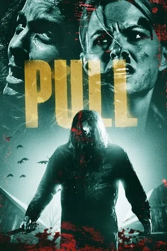 Póster de Pull