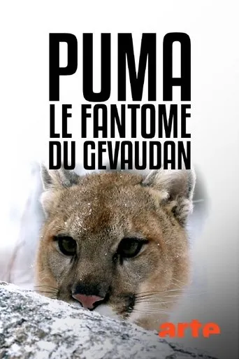 Póster de Puma, le fantôme du Gévaudan