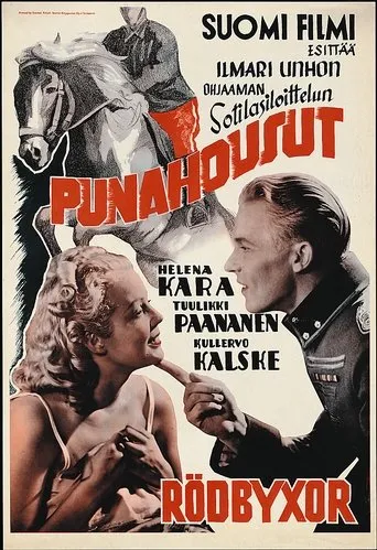 Póster de Punahousut