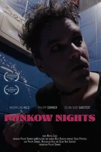 Póster de Punkow Nights