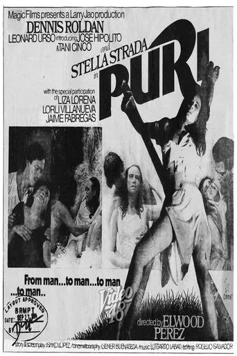 Póster de Puri