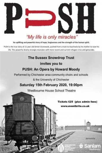 Póster de Push - Moody