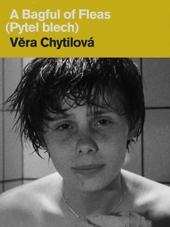 Póster de Pytel blech