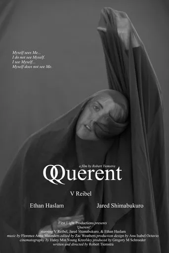 Póster de Querent